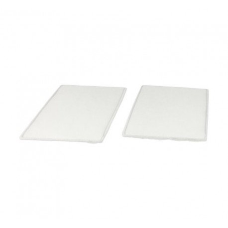 Lot de 2 filtres IC60% (G4) (2 pces) pour Flair 225